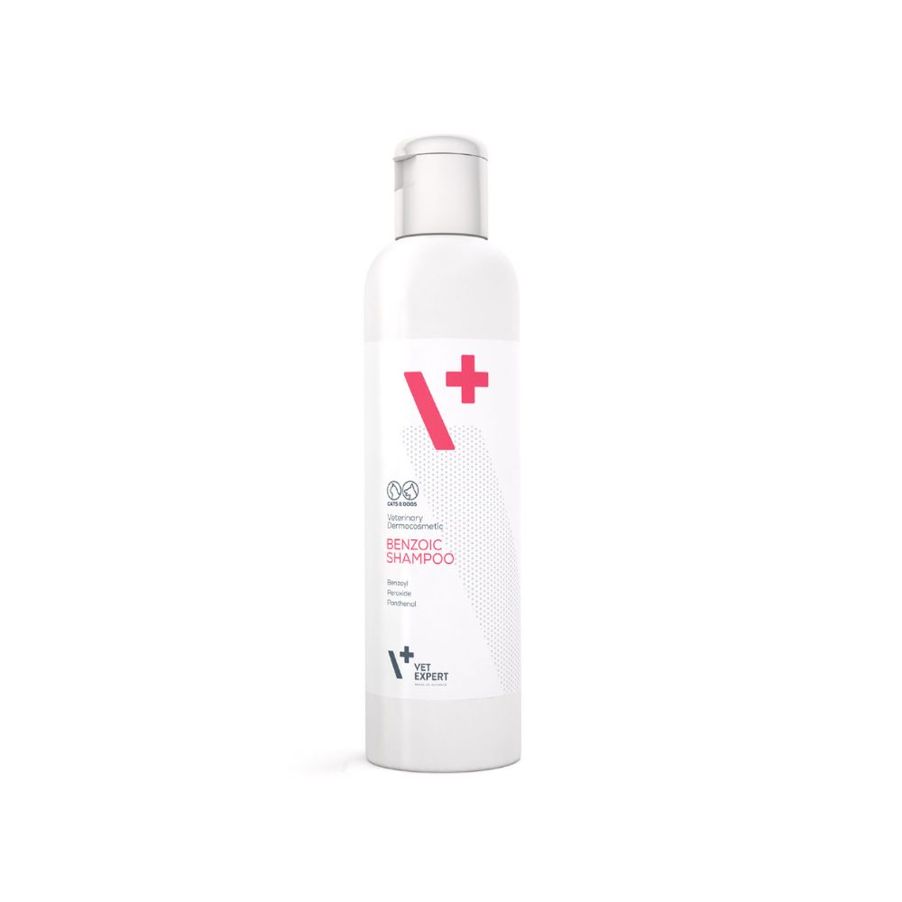 Benzoic Shampoo