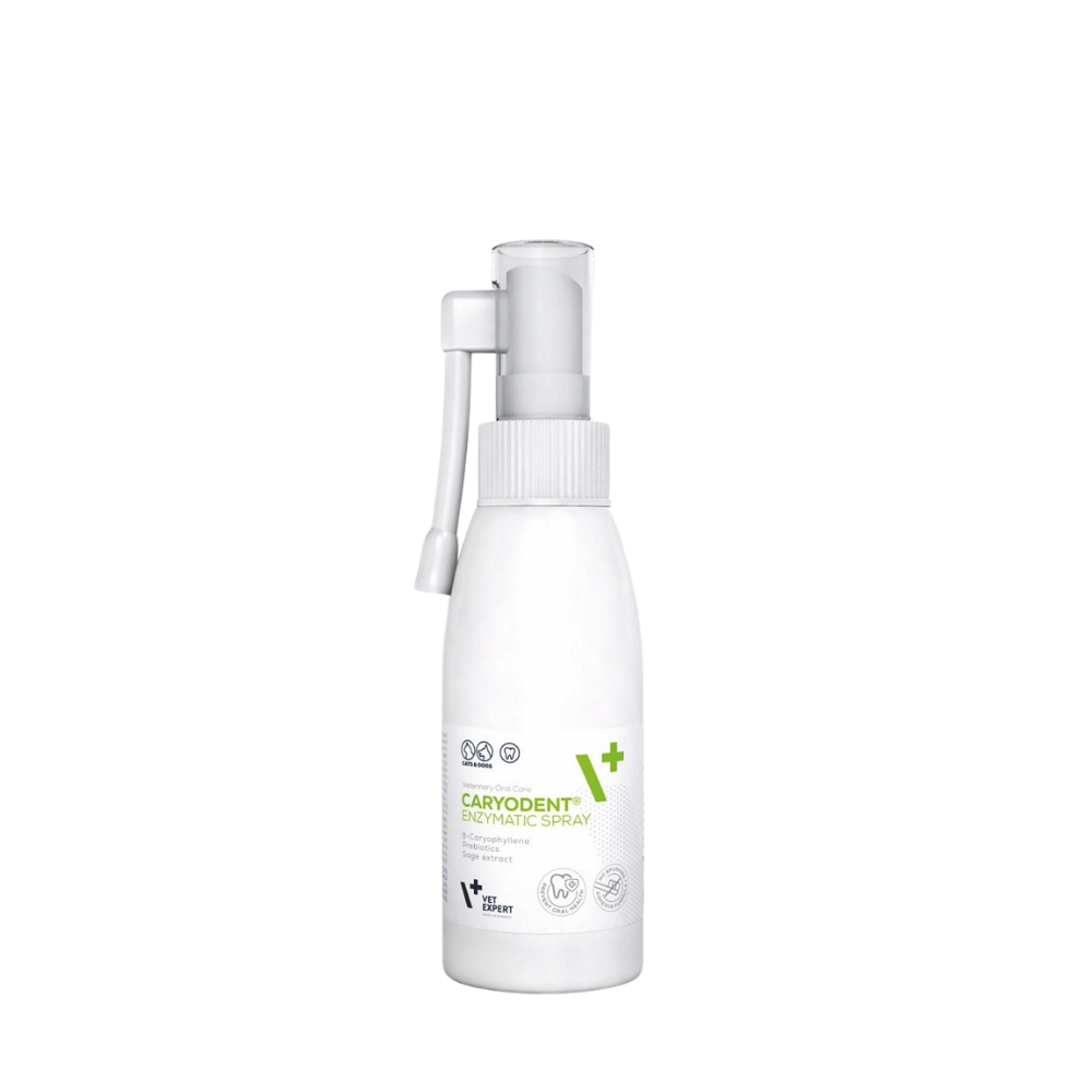 Caryodent Enzymatic Spray