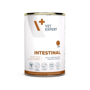 Intestinal Wet Dog