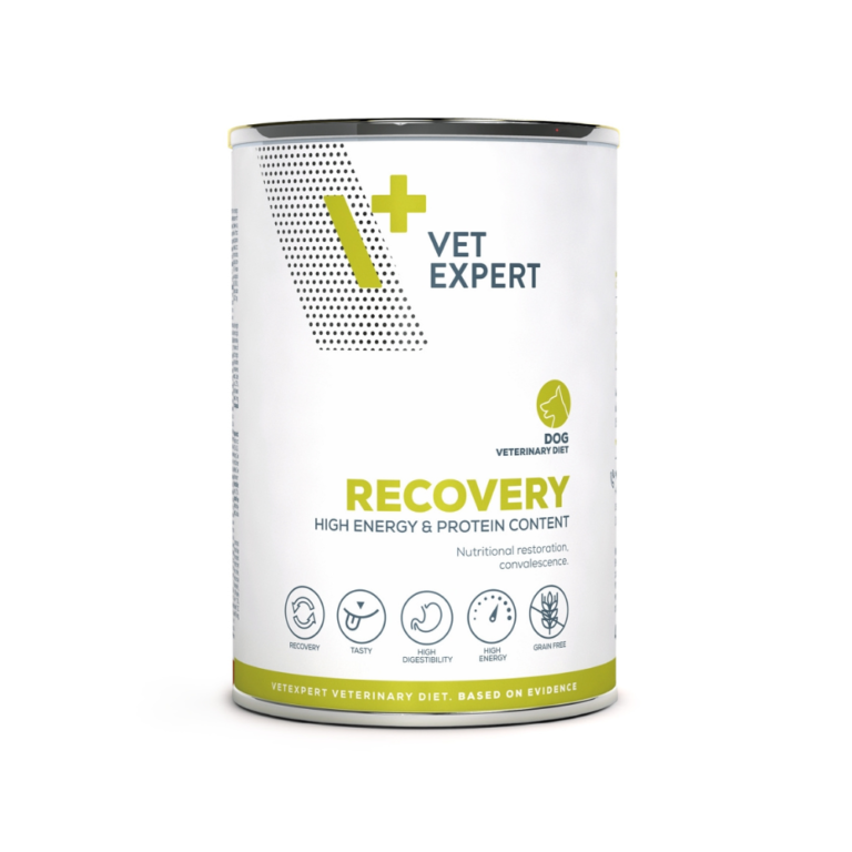 Recovery-Wet-Dog-400g