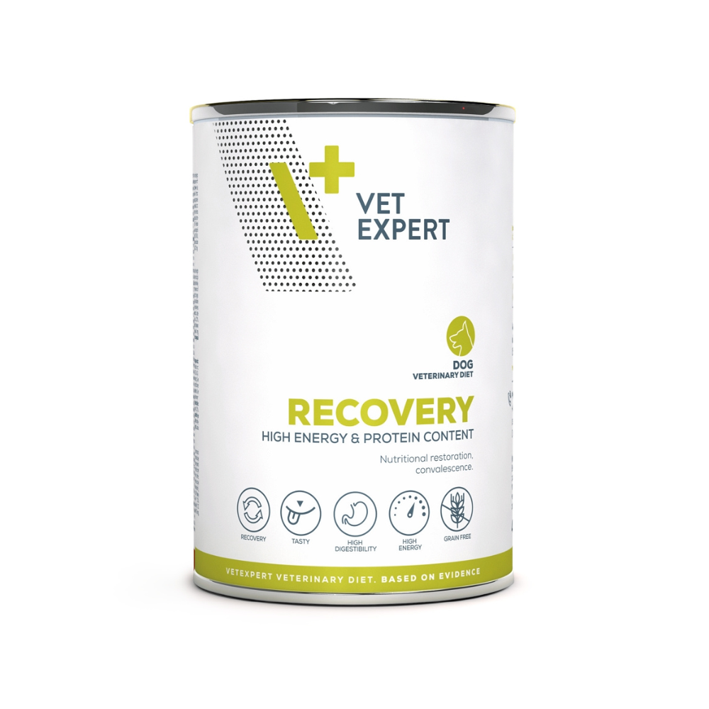 Recovery-Wet-Dog-400g
